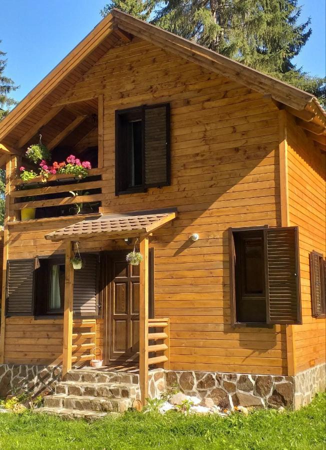 Lotus Chalet Borzont Buitenkant foto
